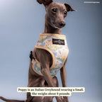 Lucy & Co. Sunshine and Daffodils Reversible Dog Harness, Adjustable Comfort Fit - Image 5
