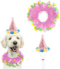 Lionheart glory Birthday Dog Collars by LionheartGlory
