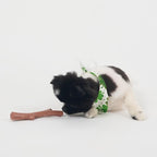 SPOT Bam-Bones Plus Branch -Bamboo Fiber & Nylon, Durable Long Lasting Dog Chew - Image 11