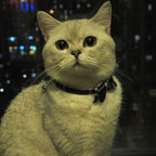 Cat Collar Breakaway with Bell and Bow Tie, Plaid Design Adjustable Safety - Image 3