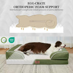 Comfort Expression Orthopedic Dog Bed - Image 2