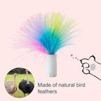 ORSDA 6Pcs Interchangeable Attachments Cat Feather Toys Replaceable Feathers - Image 6