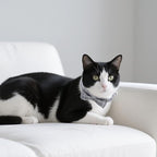 10 Pcs Cat Collar Breakaway - Image 7