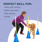 FitPAWS Ball Dynamics CanineGym Agility Kit - Image 5