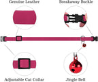 Breakaway Cat Collar Leather - Image 4