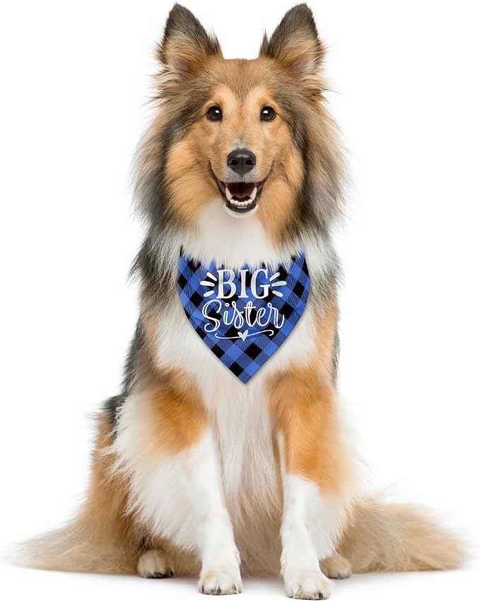 Big Sister Dog Bandanas, Buffalo Plaid Pet Scarf, Pet Dogs Scarf Accessories - Image 2