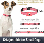 Airtag Dog Collar with AirTag Holder - Image 6