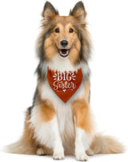 Big Sister Bandana for Dogs, Pet Pregnancy Announcement, Dark Orange Dog Bandana - Image 3