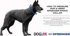 Herm Sprenger Prong Dog Training Collar Ultra-Plus Chrome Plated Steel No Pull - Image 3