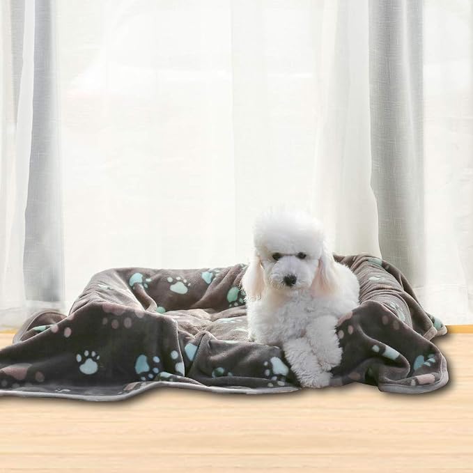 Allisandro 350 GSM Super Soft and Premium Fuzzy Flannel Fleece Pet Dog Blanket - Image 9