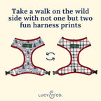 Lucy & Co. Cute Reversible Dog Harness Walking Halter - Image 5
