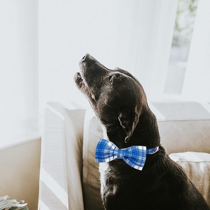 Lionheart glory Dog Collar, Boy Dog Collar Bowtie Blue Plaid Adjustable Dog - Image 6