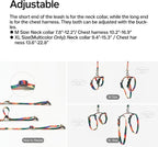 pidan Cat Harness & Leash Set, Cats Escape Proof Adjustable Kitten Harness - Image 4