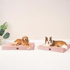 EHEYCIGA Orthopedic XXL Dog Beds - Image 8