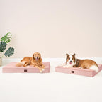 EHEYCIGA Orthopedic XXL Dog Beds - Image 9