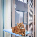 Cat Hammock with Suction Cups - Image 2