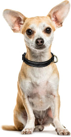 Reflective Dog Collar for Extra Small Dogs Cats, Cute Camouflage Adjustable - Image 2