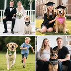 Certified Fart Sniffer Pink Dog Bandana, Funny Pet Bandana Adjustable Scarf - Image 6
