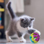 Hypeety Pet Parrot Toy Plastic Colorful Birds Ball - Image 6