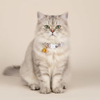 2 Pack Cotton Breakaway Cat Collars - Image 4