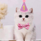 PET SHOW 4Pcs Pink Dog Birthday Hat - Image 5