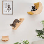 Cat Shelf for Wall Hammock Climbing Shelves and Perches Solid Wood Cat Steps by HAPYKITYS