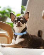 Dynmeow Soft and Breathable Cotton Dog Collar, Durable Adjustable Boy Pet Collar - Image 6