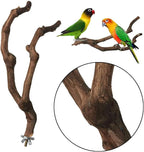 kathson Natural Parrot Perch Bird Stand Pole Wild Grape Stick Paw Grinding Fork - Image 4