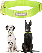 Nylon Dog Collar - Image 2