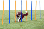Trixie Dog Agility Slalom Course by TRIXIE