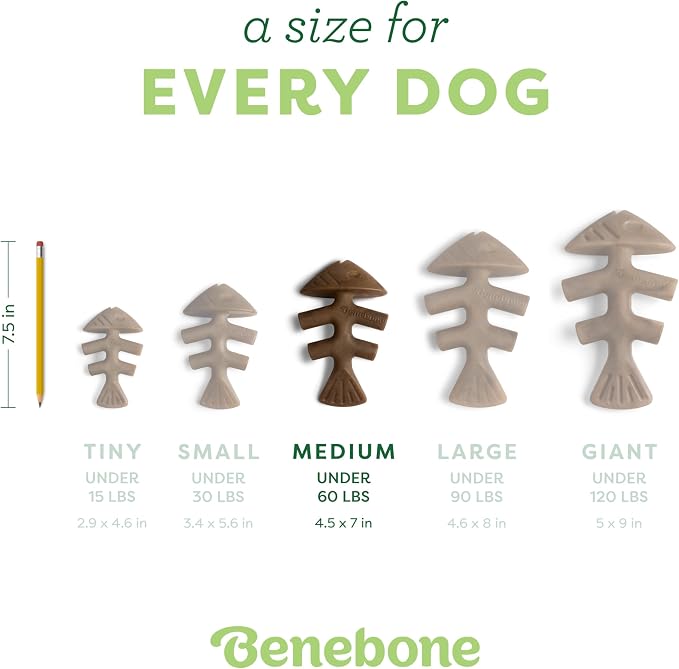 Benebone Fishbone Durable Dog Chew Toy - Image 4