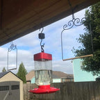 2 Pack Hummingbird Swing Metal Frame Hummingbird Perch Wild Bird Swing - Image 7
