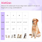Easter Dog Collar for Mediuml Dogs, Easter & Spring Theme Medium Dog Collar - Image 2