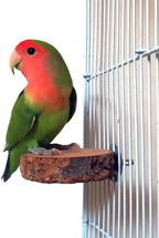 Hamiledyi 8 PCS Bird Perch Stand Toy Wood Parrot Paw Grinding Stick Perch Stand - Image 6