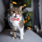 Christmas Breakaway Cat Collar - Image 3