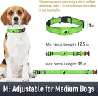 Airtag Dog Collar with AirTag Holder - Image 6