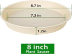 6 Pack of 8 inch Plant Saucer Blue, Plastic Plant Water Tray 8 inch Round - Image 2