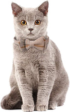Faleela Breakaway Cat Collar - Image 6