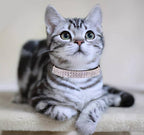 THAIN Rhinestones Cat Dog Collar Soft Velvet Safe Adjustable Collar Bling - Image 5