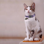Halloween Cat Collar, Cotton 2 Pack Cat Collar - Image 3