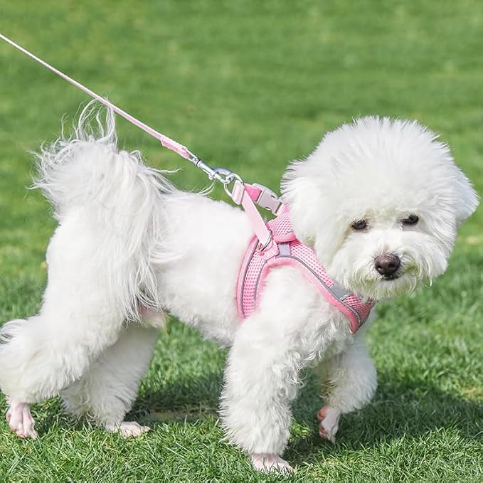 AIITLE Step in Dog Harness and Leash Set - Image 7