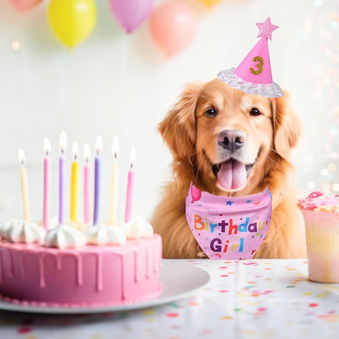 Dog Boy Girl Birthday Party Hat, Dog Birthday Party Supplies, Doggie Birthday - Image 6
