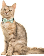 2 Pack/Set Cat Collar Breakaway - Image 5