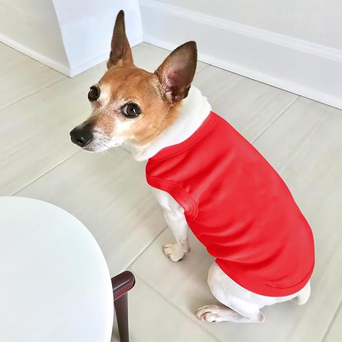 Custom Dog Shirt Pet T Shirts for Small Medium Large Dogs Customized Clothes - Image 5