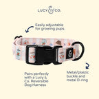 Lucy & Co. Sipping Slowly Dog Collar, Adjustable Durable Dog Collar - Image 2