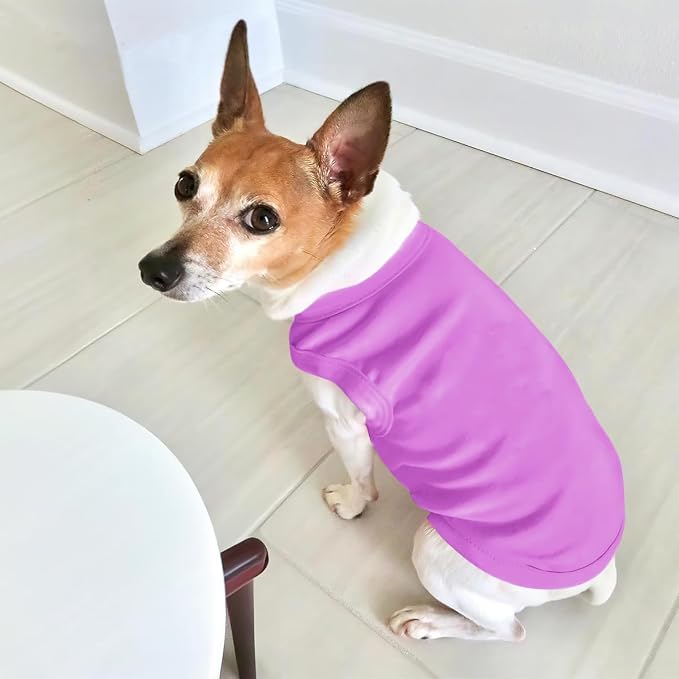 Personalized Dog Shirt Custom Pet T Shirts - Image 5