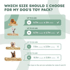 Alfred & Beebee Eco-Friendly Natural Coffee Wood Dog Chew Toy 4 Pack - Image 7