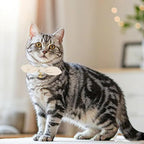 Bunny Ear Cat Collar with Bell and Bow Tie, Breakaway Cute Bowtie Kitten Collars - Image 4