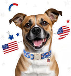 4th of July Dog Collar, Robot Star-Spangled Patriotic Dog Collars - Image 3