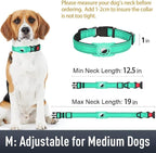 Airtag Dog Collar with AirTag Holder - Image 6